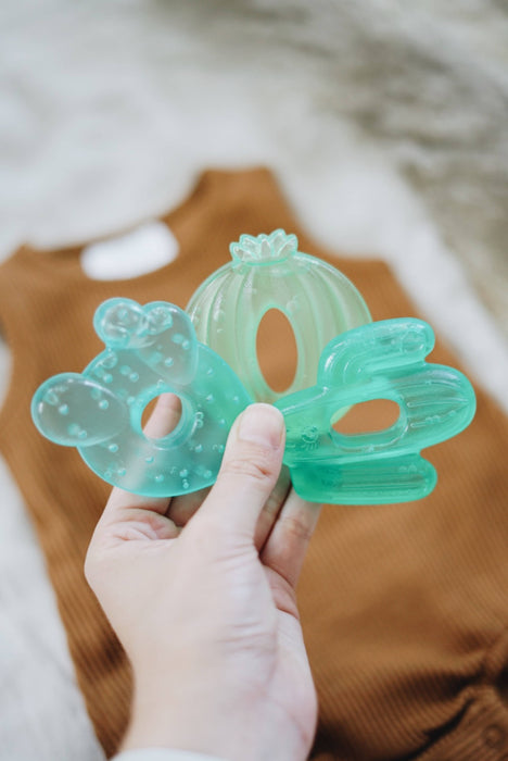 Cutie Coolers™ Water Filled Teethers (3-pack): Cactus