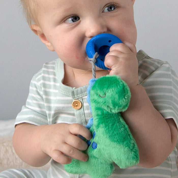 Itzy Ritzy Sweetie Pal Plush & Pacifier, Dino